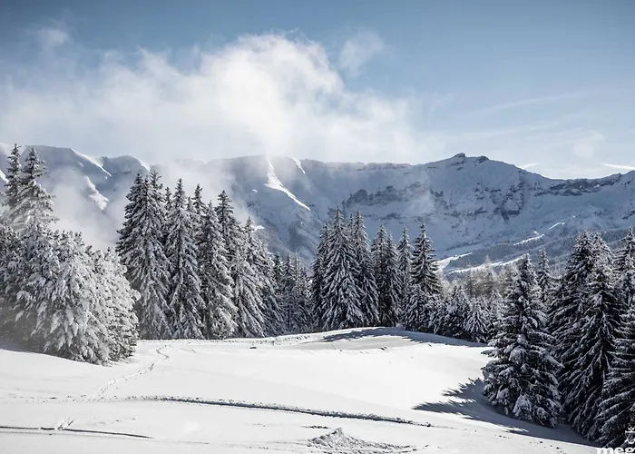 Neuf 3p Avec Parking Et Services Inclus A - Fr-1-569-70 Διαμέρισμα *